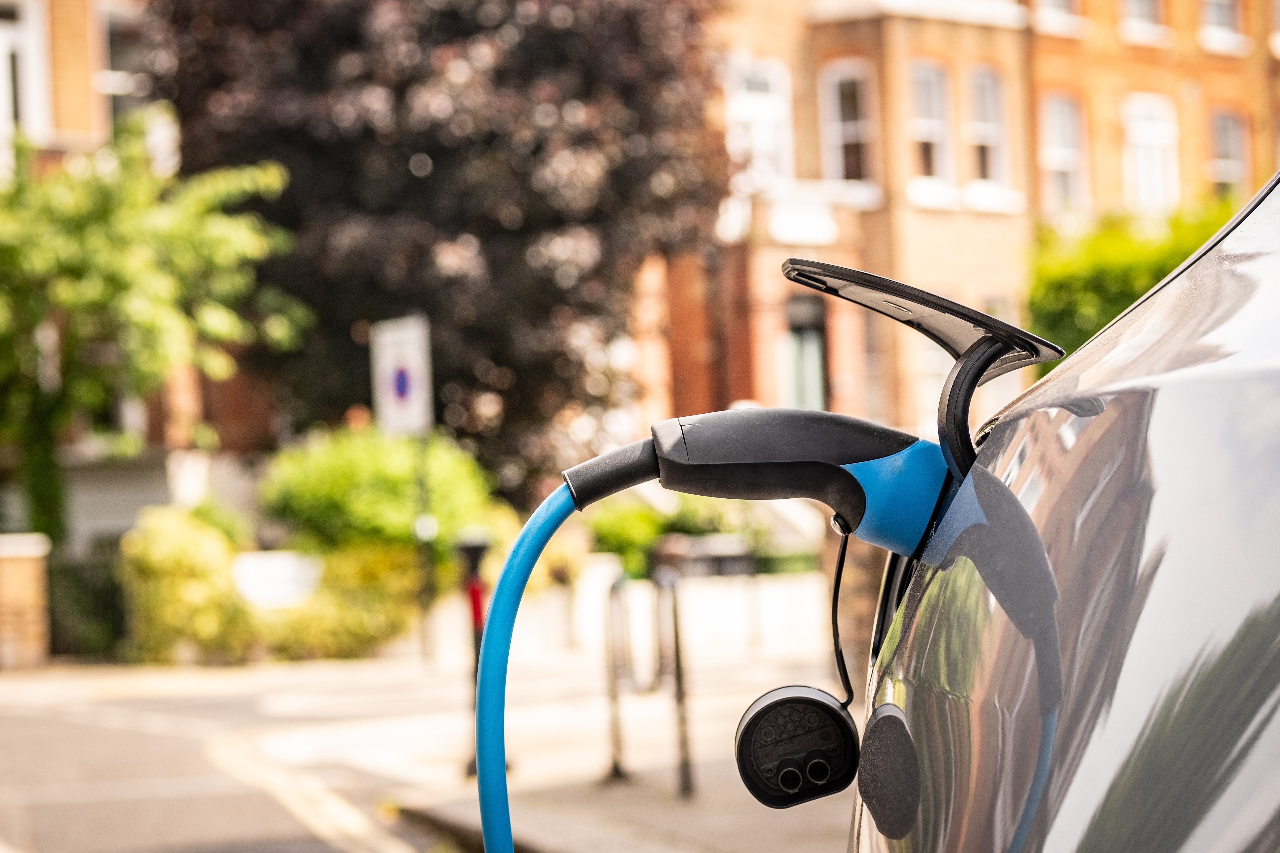 shutterstock 2654673989