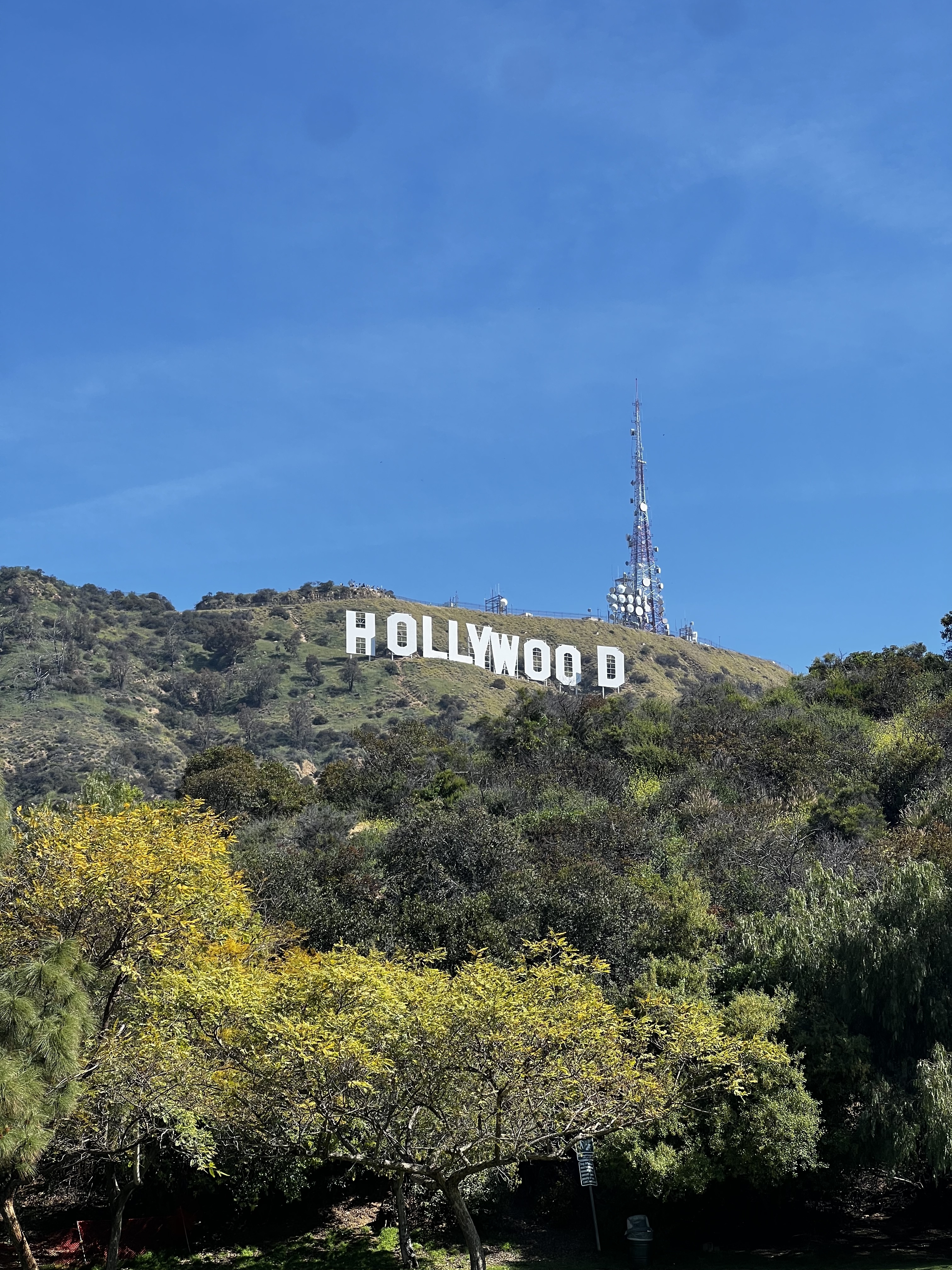 shutterstock 2355434597